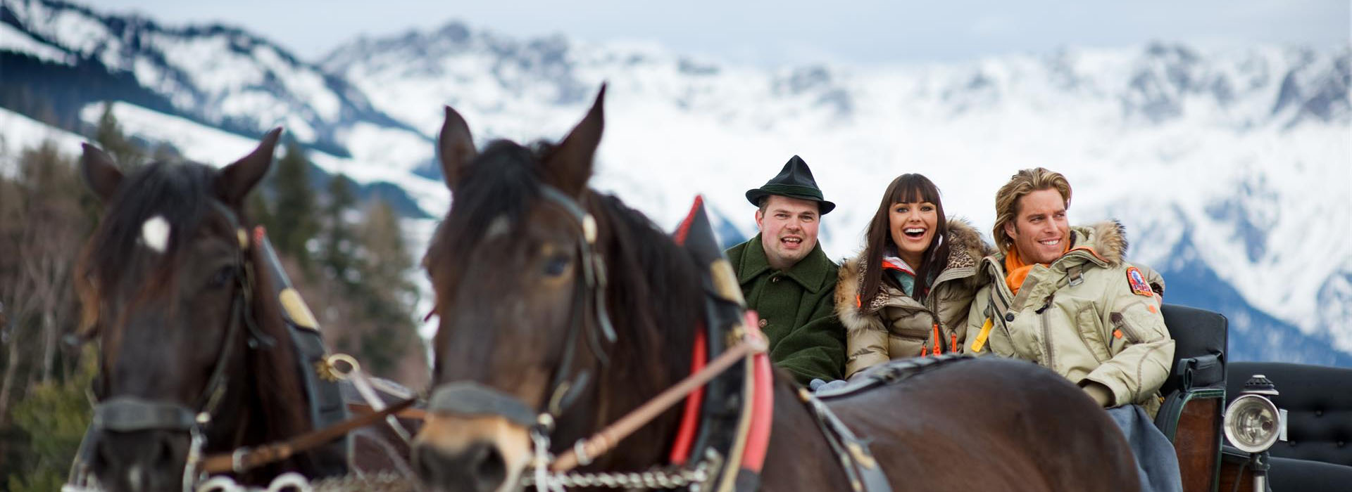 Horse-drawn sleigh rides